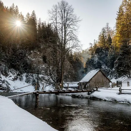 Chalet Oasis - Chalets Kvacianska Dolina * Bölényfalu